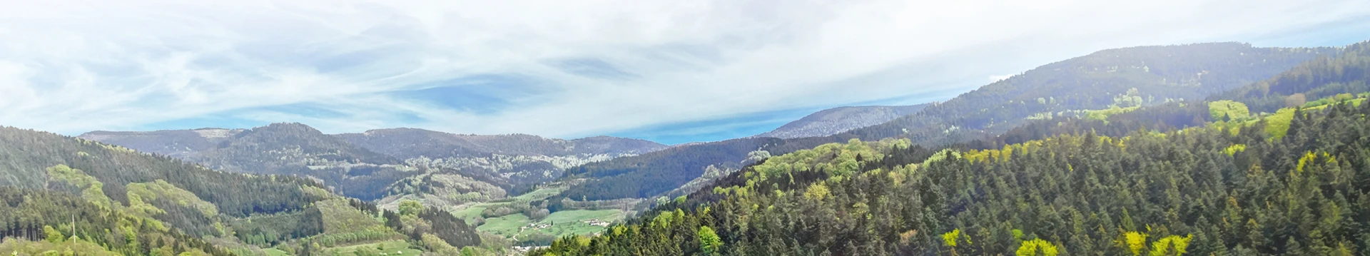 Picture of the northblackforest for the Kontakte page